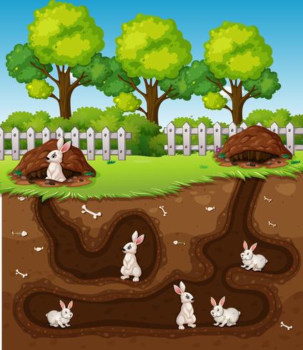 Rabbit digging the hole vector