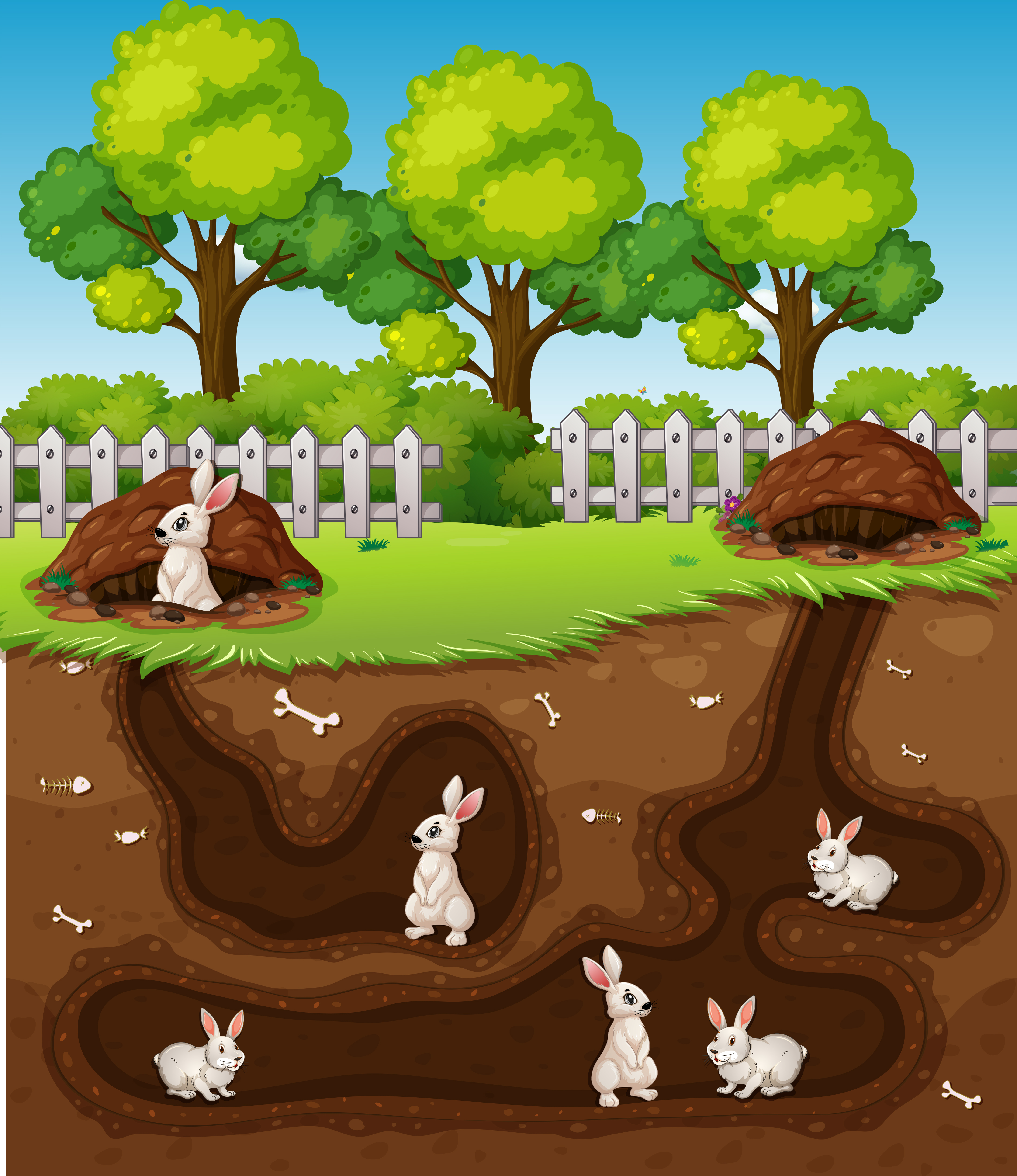 Rabbit Hole Free Vector Art - (58 Free Downloads)