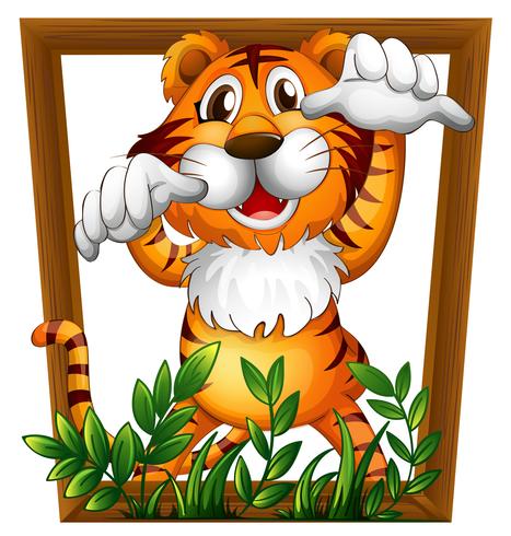 Tiger and frame vector