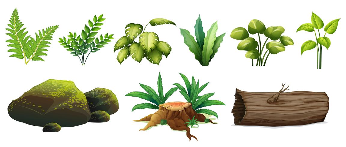 A Set of Forest Element vector