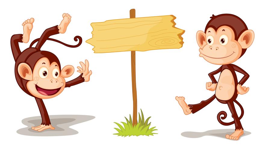 Monkeys with banner vector
