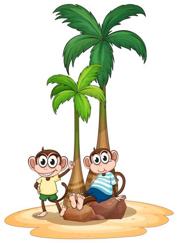 Monkey and tree vector