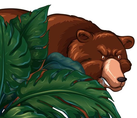 Wild grizzly bear behind the bush vector