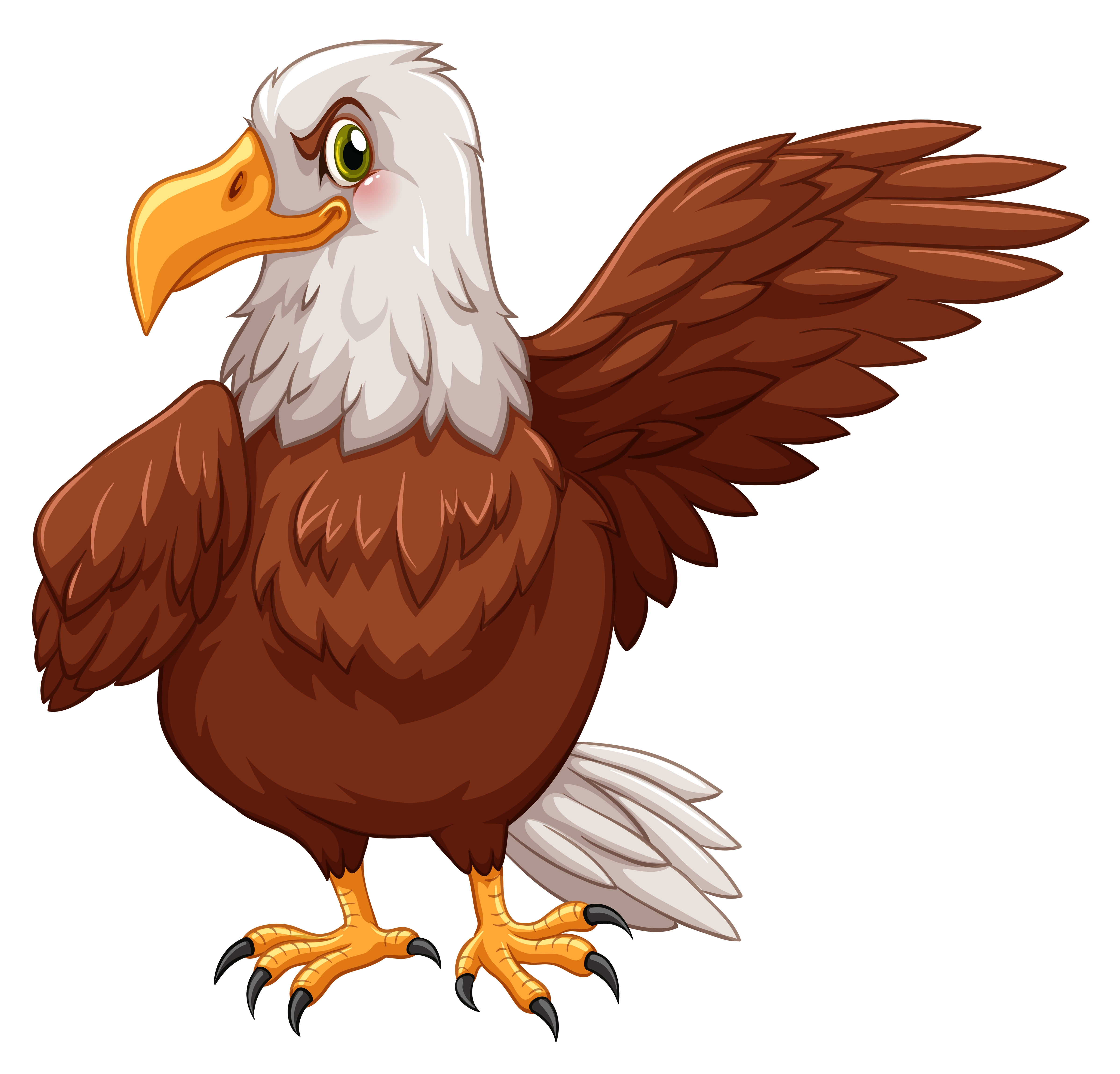 Eagle standing on white background 368091 Vector Art at Vecteezy