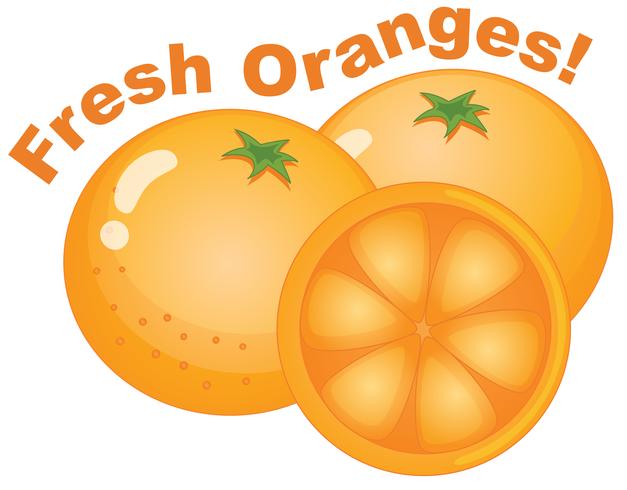 Fresh orange on white background vector