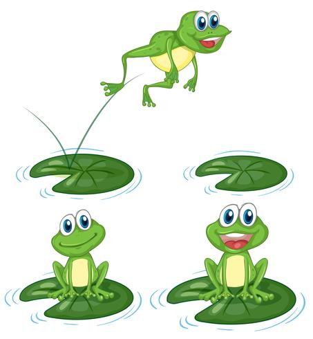 Green frogs jumping on water lily leaves vector