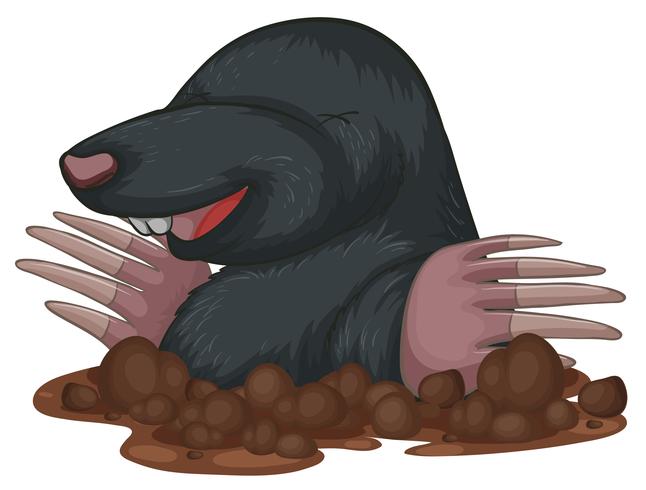 Mole vector