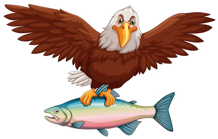 Eagle flying with fish in claws vector