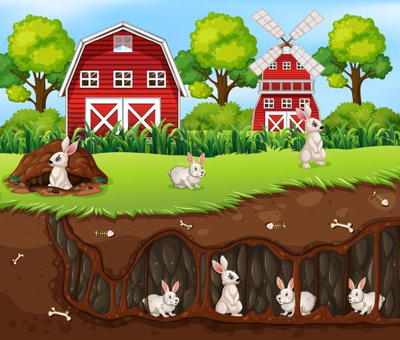 Rabbit House Underground the Farm vector