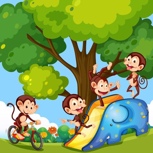 A group of monkey at playfround vector