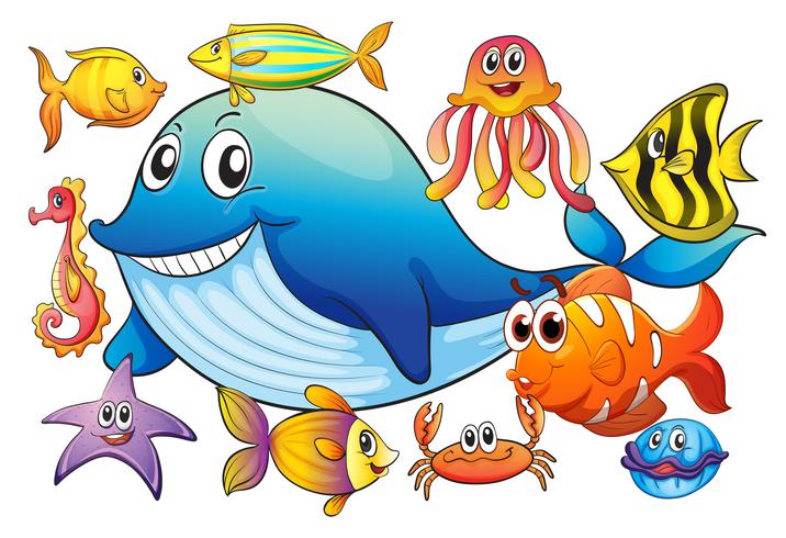 Different kind of sea animals vector