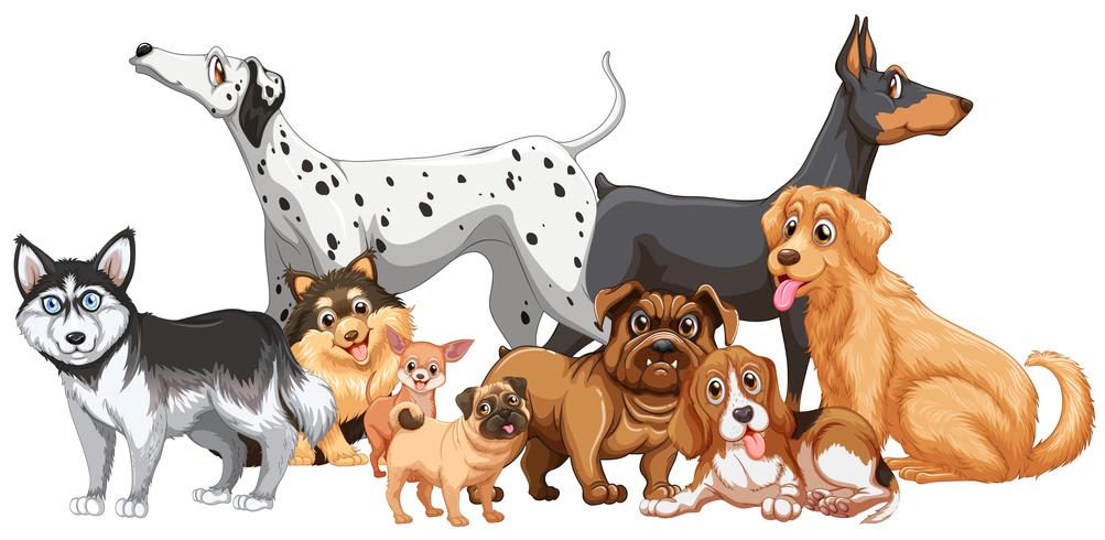 Grupo de diferentes tipos de perros. vector