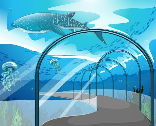 Escena de acuario con animales marinos. vector