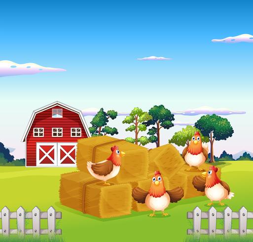 Four chickens in the hay with a barn at the back  vector