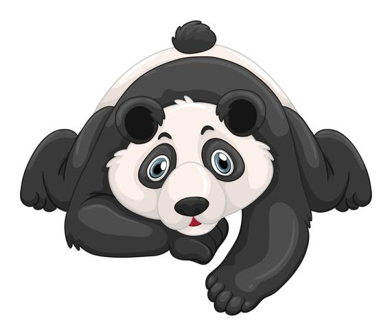 Cute panda crawling on the ground vector