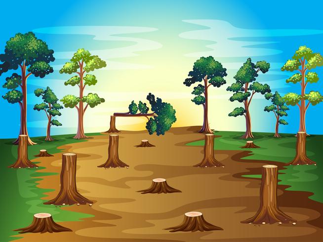 Deforestation scene at sunset vector