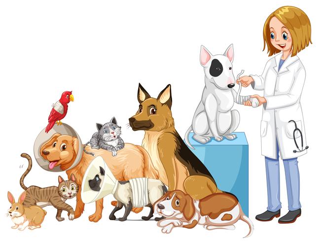 Veterinario y muchos animales heridos. vector