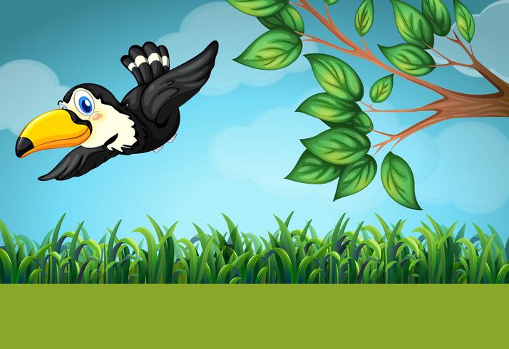 Scene with toucan flying in the field vector