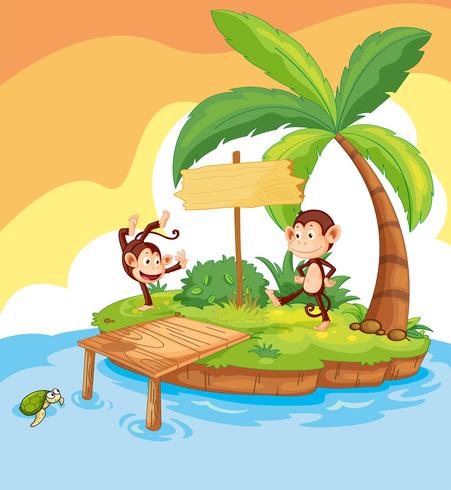 Two monkeys on island vector