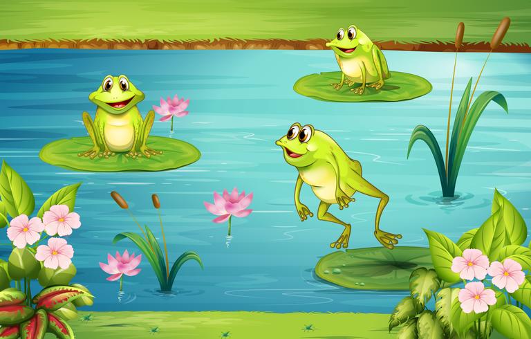 Three frogs living in the pond vector