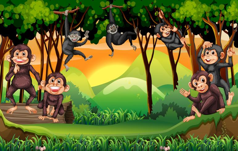 Monos trepando arboles en la selva. vector