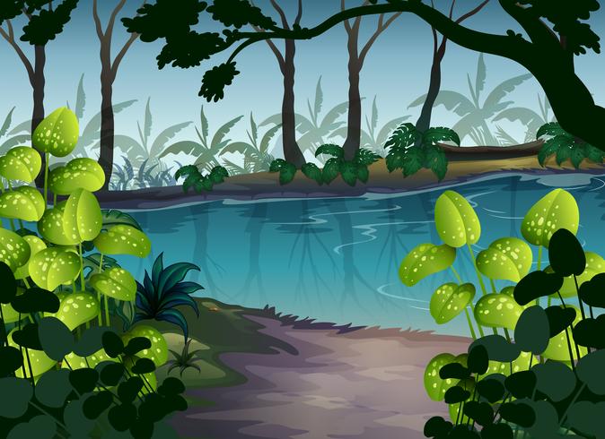 Pond in the Forest Scene at Night vector