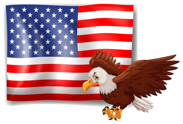 American flag and wild eagle vector