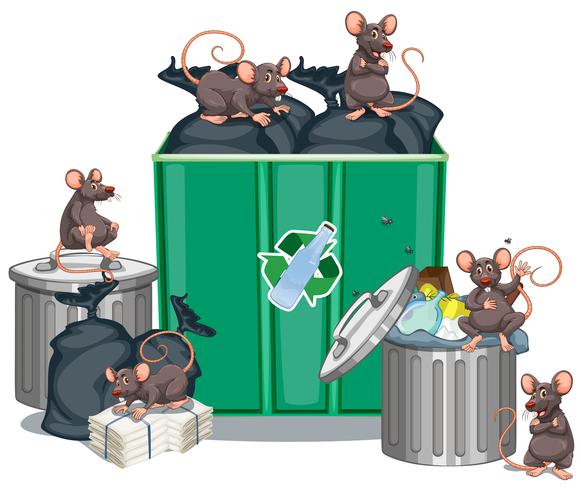 Rats looking for food from trashcans vector
