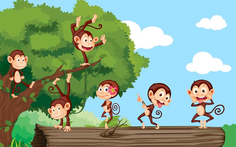 Monkeys in a park vector