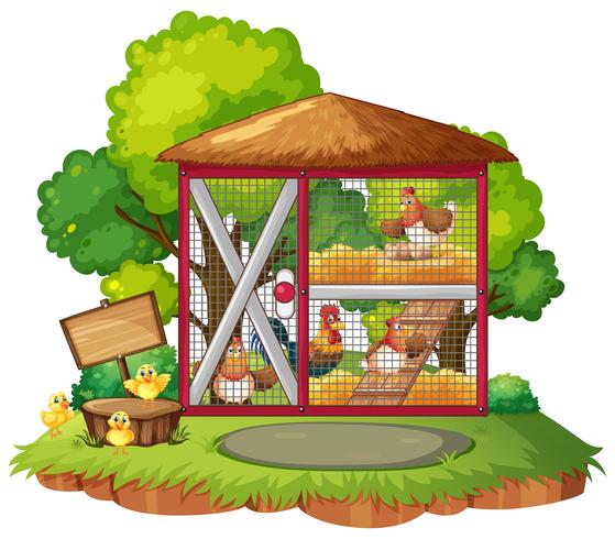 Many chickens in the coop vector