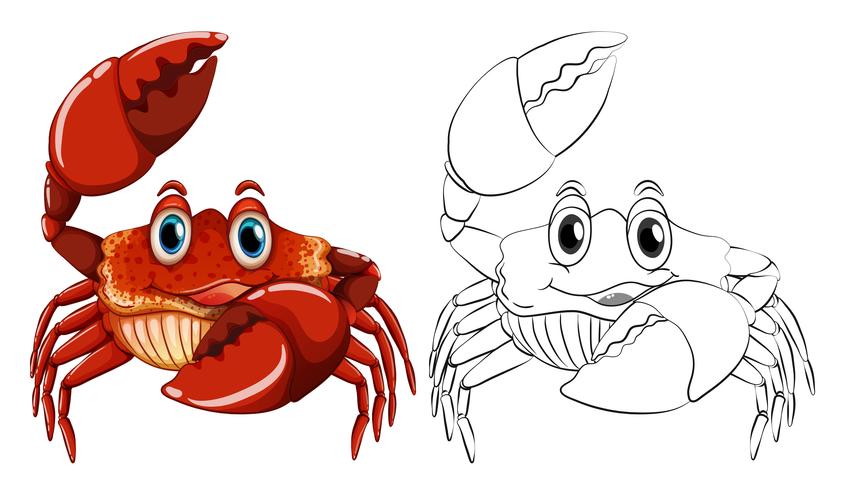 Animal outline for crab vector