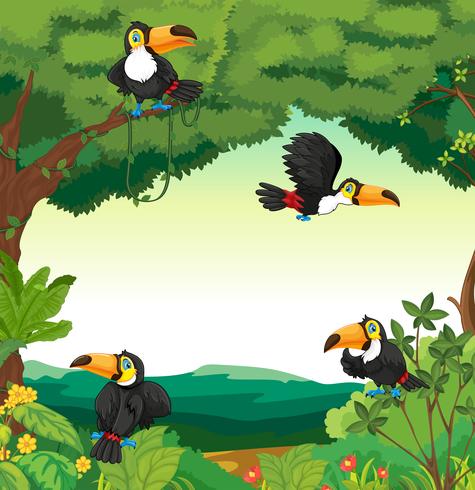 Scene with many toucans flying in forest vector