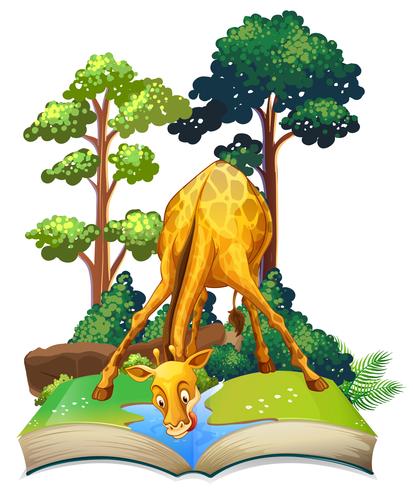 Giraffe drinking water in the book vector