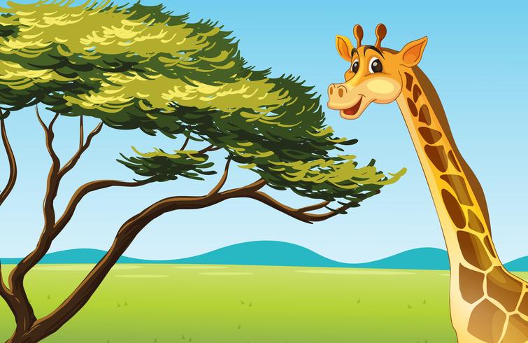 cartoon animal vector