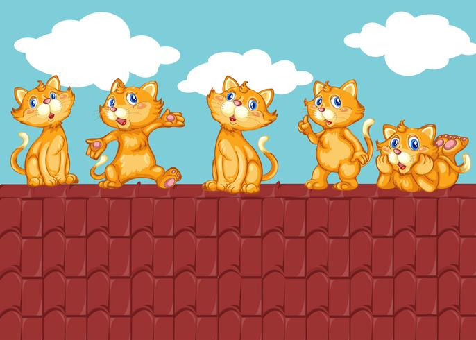 Five kittens on the red roof vector