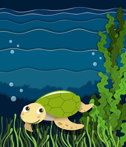 Turtle swimming under the ocean vector