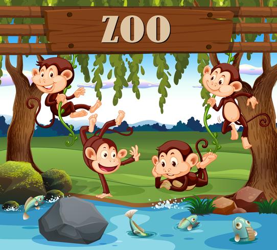 Una familia de monos en el zoológico. vector