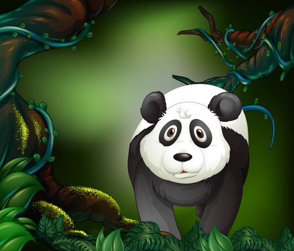 Panda in a rain forest vector