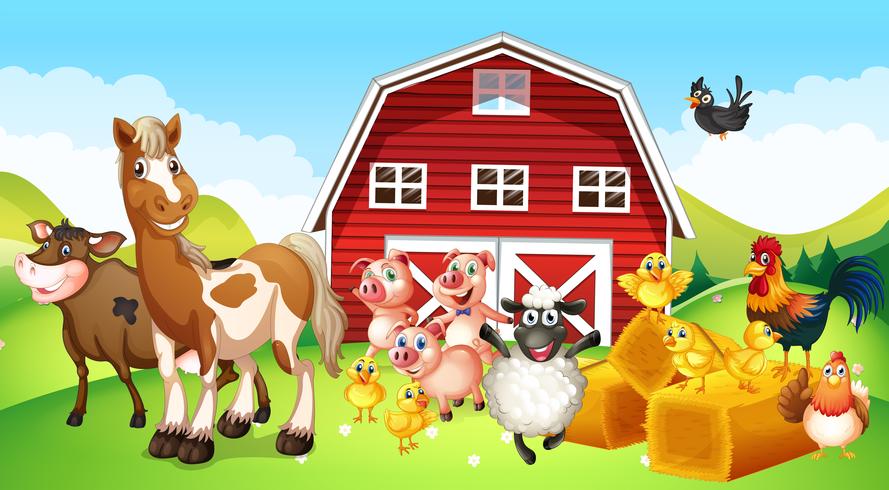 Farm animals living on the farm