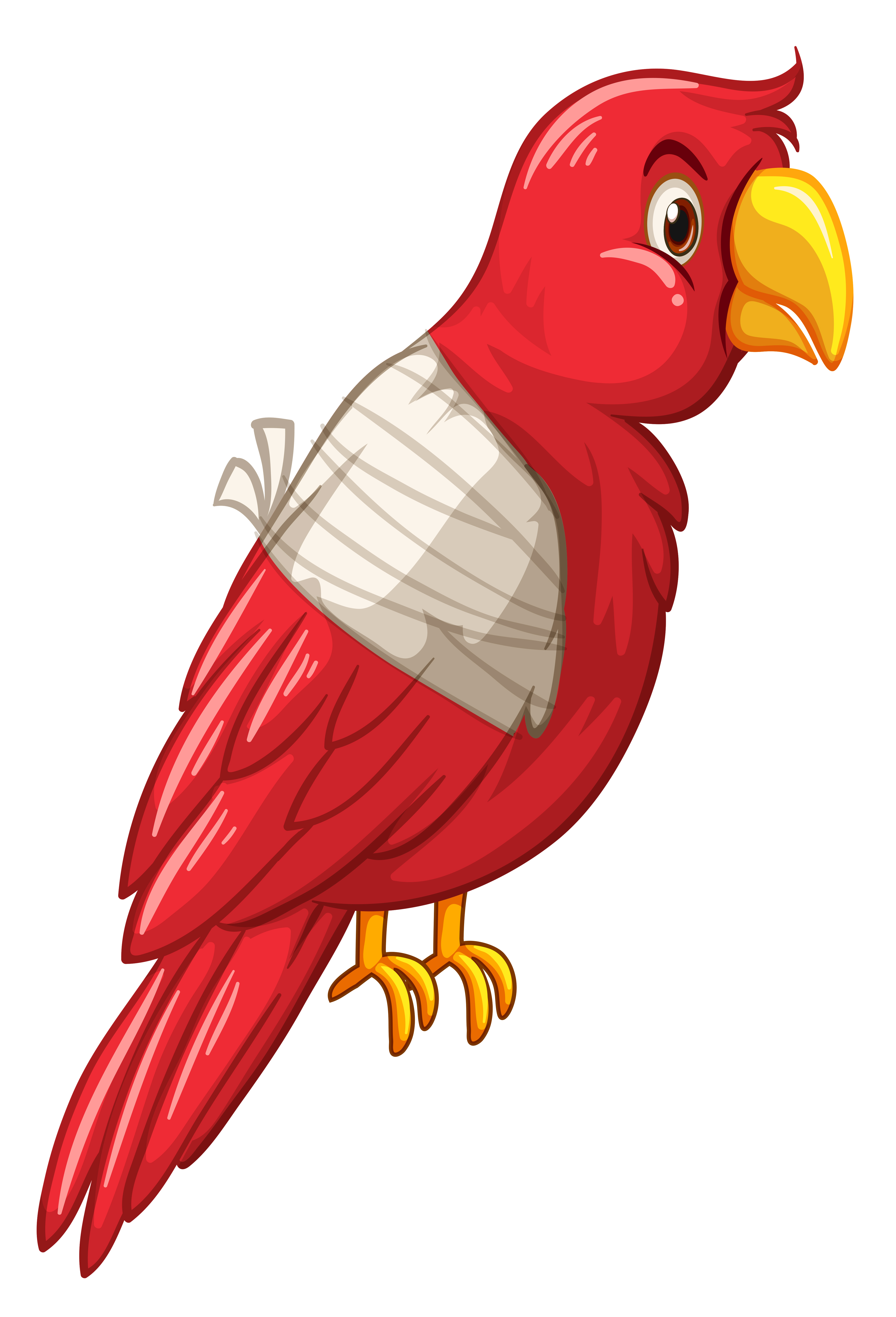 Injured Bird Vector Art, Icons, and Graphics for Free Download