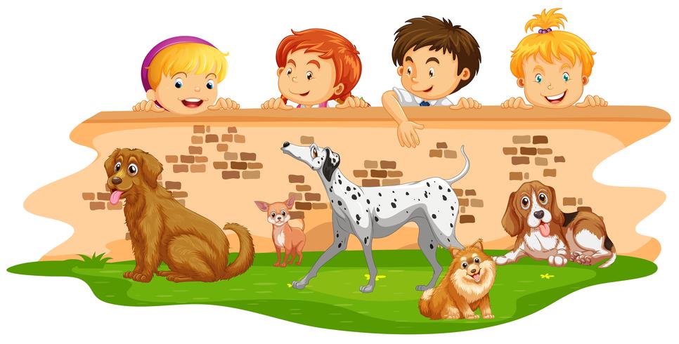 Children looking at dogs over the wall vector