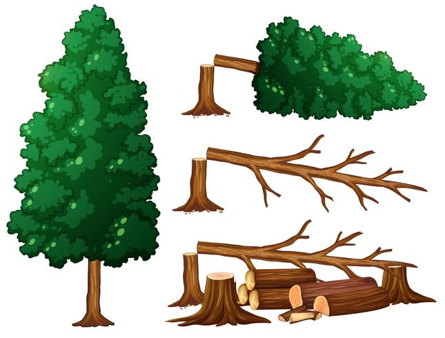 A Set of Tree and Wood vector