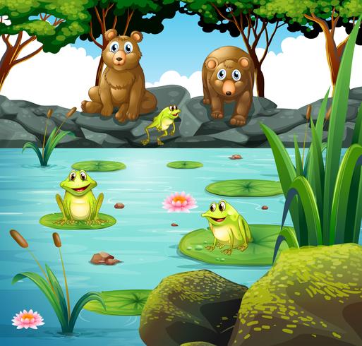 Two bears and three frogs at the pond vector