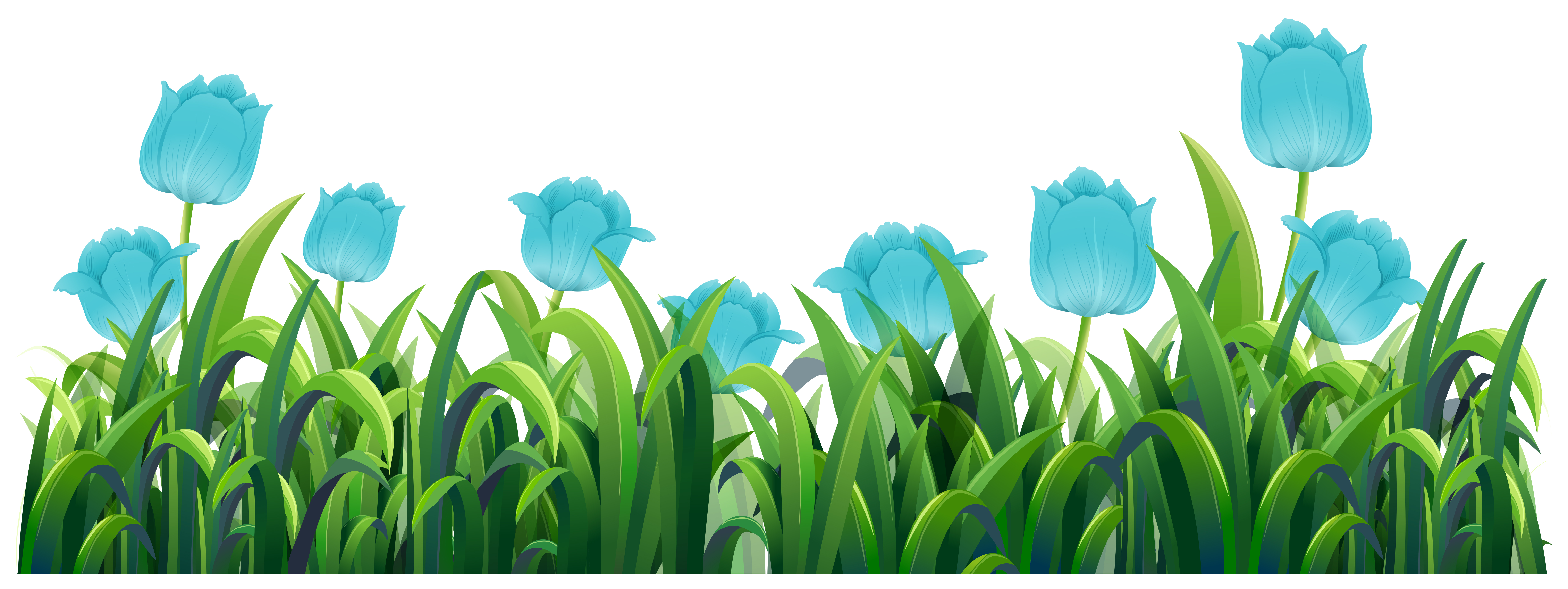 Blue tulip flowers in the green bush - Download Free Vectors, Clipart