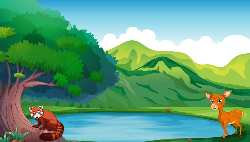 Scene with deer and red panda by the pond vector