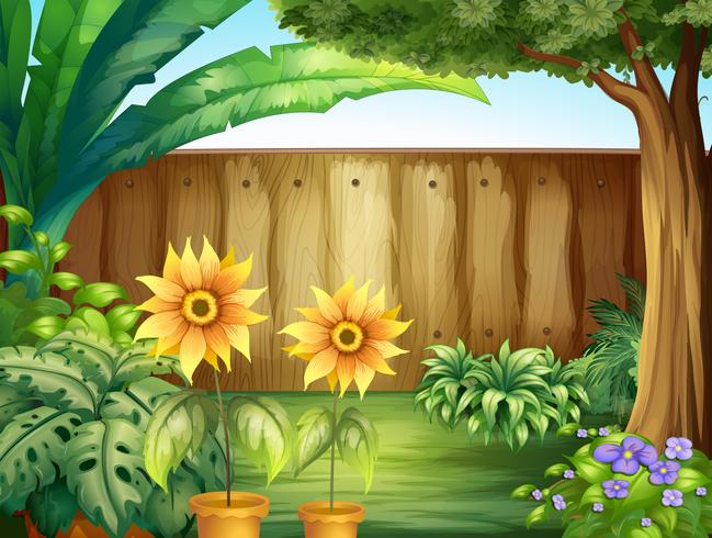 Scene with sunflowers in garden vector