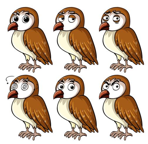 Brown owl with different facial expressions vector