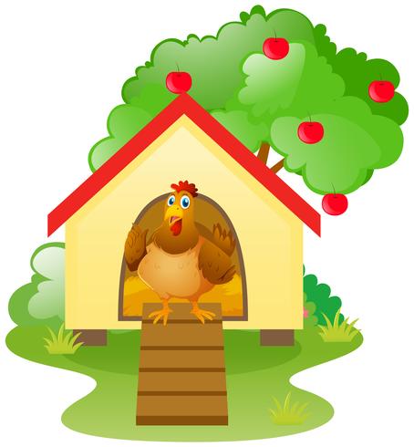 Chicken in the chicken coop vector