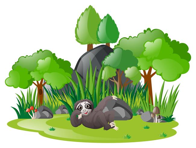 Sloth relaxing in the park vector