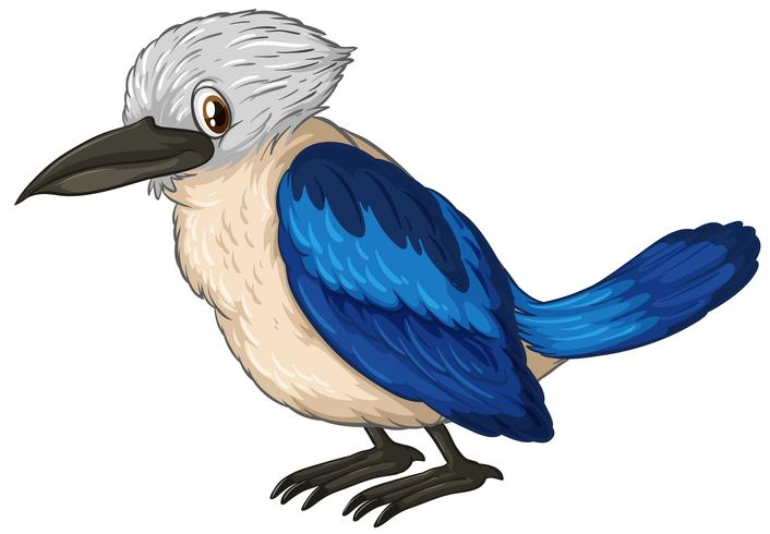 Bird vector